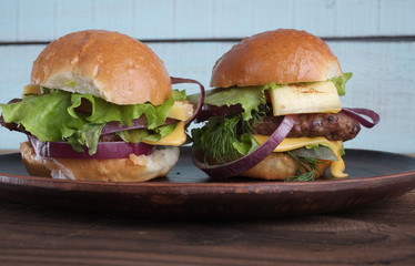 Two tasty meat burgers on plate.