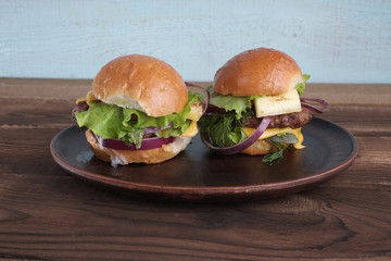 A two tasty meat burgers on plate.