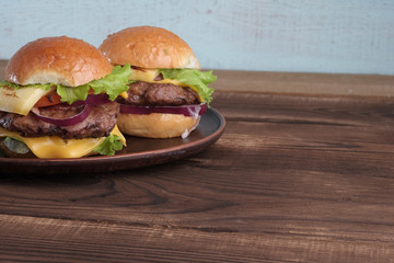 Two tasty a meat burgers on plate.