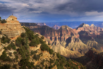 Grand Canyon National Park, North Rim, Arizona, USA