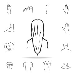 Lady with a long hair icon. Detailed set of human body part icons. Premium quality graphic design. One of the collection icons for websites, web design, mobile app