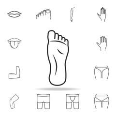 Foot icon. Detailed set of human body part icons. Premium quality graphic design. One of the collection icons for websites, web design, mobile app