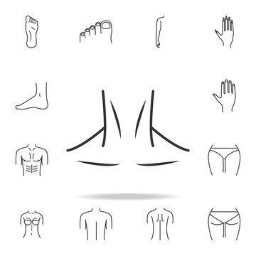 Neck icon. Detailed set of human body part icons. Premium quality graphic design. One of the collection icons for websites, web design, mobile app