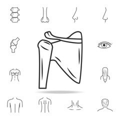 Shoulder joint isolated icon. Detailed set of human body part icons. Premium quality graphic design. One of the collection icons for websites, web design, mobile app