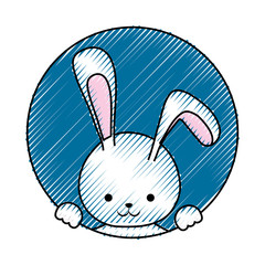 colored  rabbit doodle   with  blue background vector illustratiion