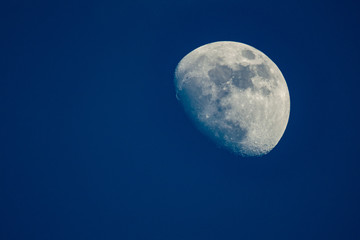 Waning Gibbous moon in blue hour