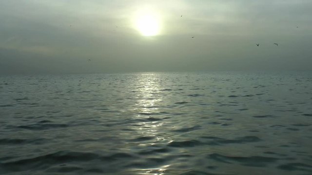 1920x1080 25 Fps. Very Nice Gray Winter Seascape With Sun Rays Video.
