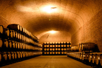 Storaged wine barrels photograph