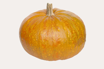 beautiful ripe pumpkin on white background