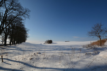 Fototapeta na wymiar Winterlandschaft bei Groß Stressow, Putbus, Rügen,