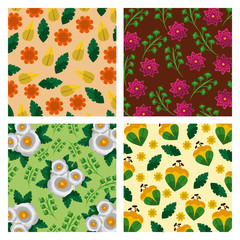 set of pattern flowers floral decoration wallpaper vector