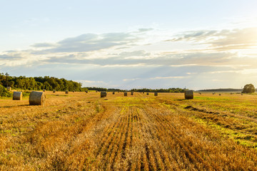 Scenic view of hay stacks on sunny day