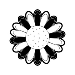 flat line monochromatic flower over white background vector illustration