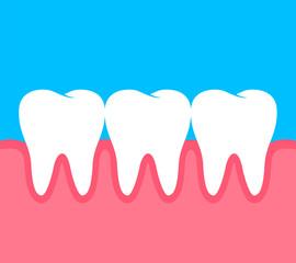 Teeth with human gum, flat style. Dental care concept, illustration.