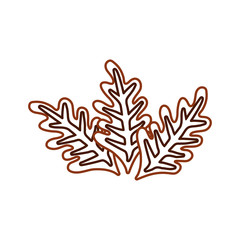 flat line colored leaf over white background vector illustration