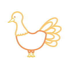 flat line colored turkey  thanksgiving over white  background vector illustration
