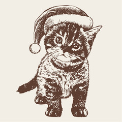  little cat, kitten with christmas santa hat
