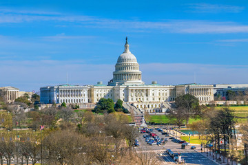 Fototapeta premium The United States Capitol building DC