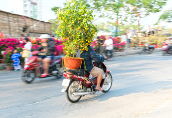 Ho Chi Minh City, Vietnam - February 14, 2018: A Vietnamese man is driving motorcycle loaded with Fortunella japonica or Kumquat behind for decoration purpose lunar New Year in Ho Chi Minh, Vietnam