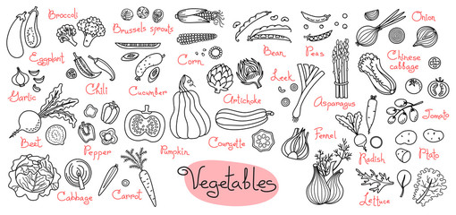 Set drawings of vegetables for design menus, recipes and packages product - obrazy, fototapety, plakaty