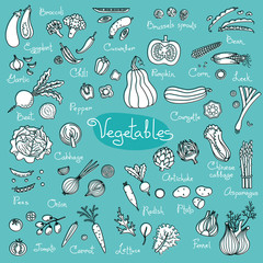 Set drawings of vegetables for design menus, recipes and packages product - 194928199