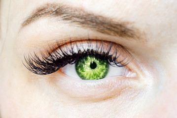 Fototapeta na wymiar female green eye looking at the camera, color contact lenses