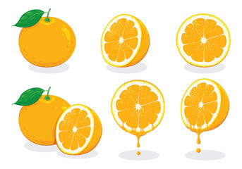 illustration fresh orange, vector
