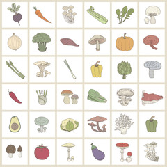 Illustration of vegetable