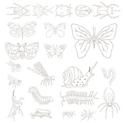 Illustration of animals