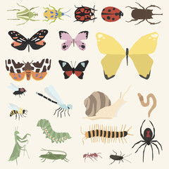 Illustration of animals