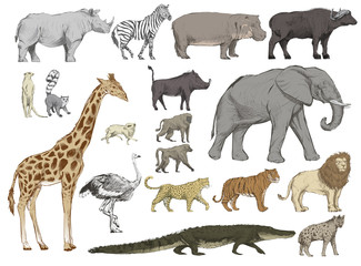 Illustration drawing style of animals collection © Rawpixel.com