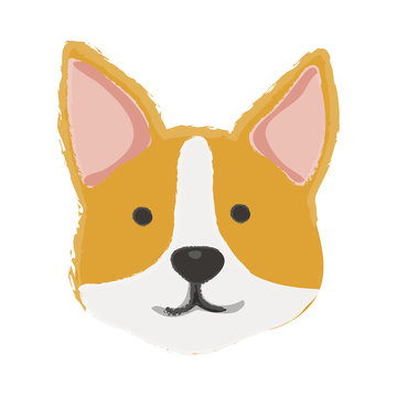 Illustration of dog isolated on background