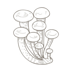 Illustration of mushroom