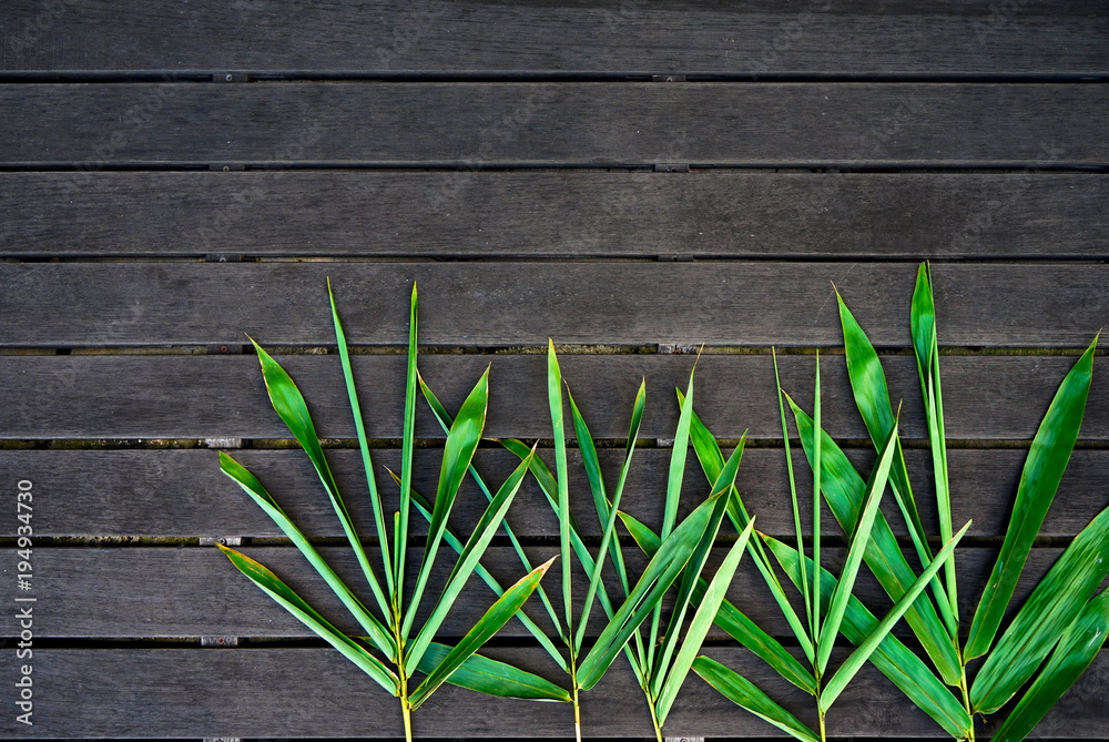 Wall mural minimal styled flat lay isolated on tropical background of green palm tree leaves on the dark wooden