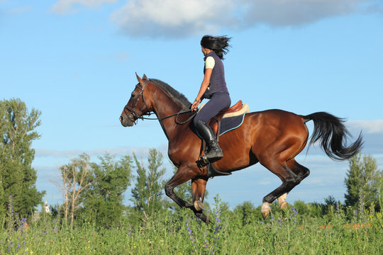 Galloping horse with female rider