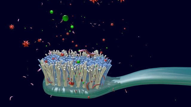 Bacteria on, around toothbrush. Camera orbits scene. 3d animation