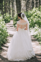 The bride in an elegant wedding dress with lace and veil stands back on a path in a summer forest