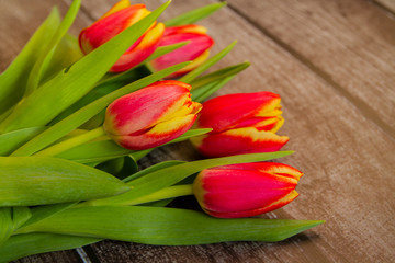 Bouquet of red-yellow tulips