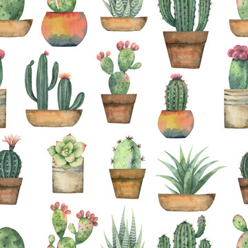 Watercolor Seamless Pattern Of Cacti And Succulent Plants Isolated On White Background.