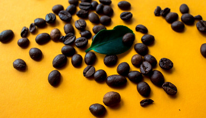 coffe beans and green leaf