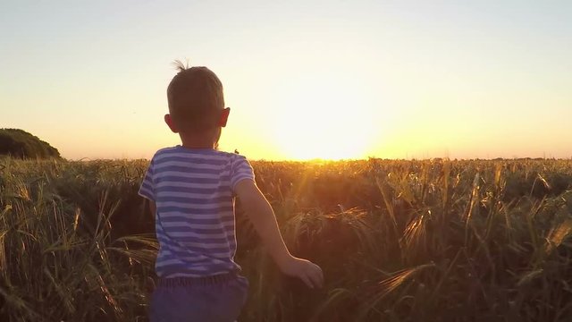 Two children run in the field at sunset. Slowmotion
