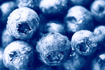 fresh berries blueberries close-up scattered black and white