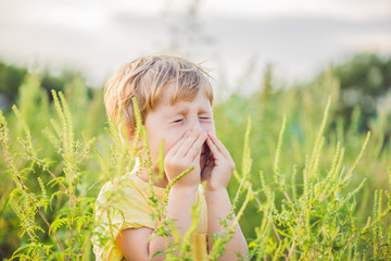 Boy sneezes because of an allergy to ragweed