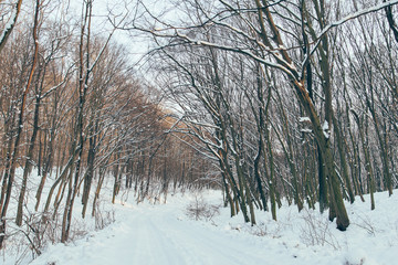 Winter road, winter driving concept.