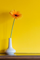Beautiful flower in ceramic vase with yellow wall interior decoration