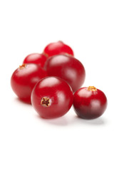 Cranberries close-up on white