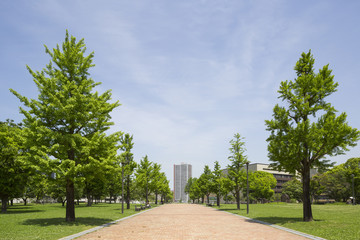 勝山公園