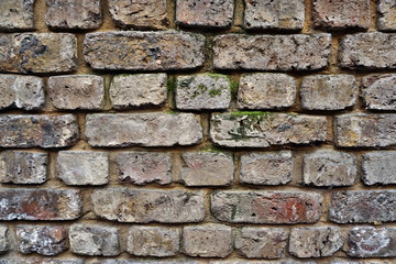 Obraz premium Ziegelsteine