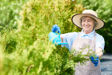 Portrait of smiling senior woman working in garden watering plants and bushes, copy space
