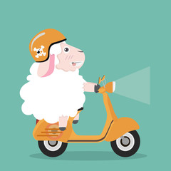 Cute sheep  in helmet riding a yellow scooter